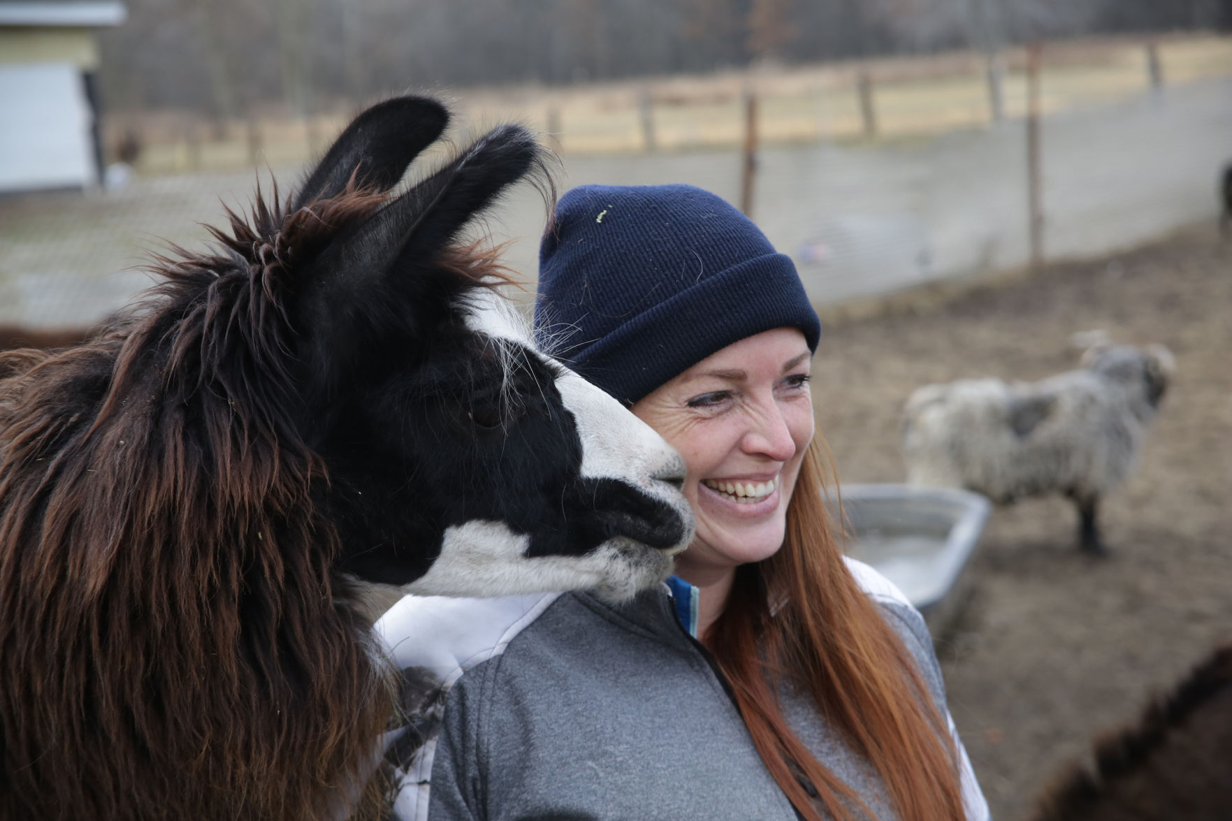 Erin's Farm animal sanctuary